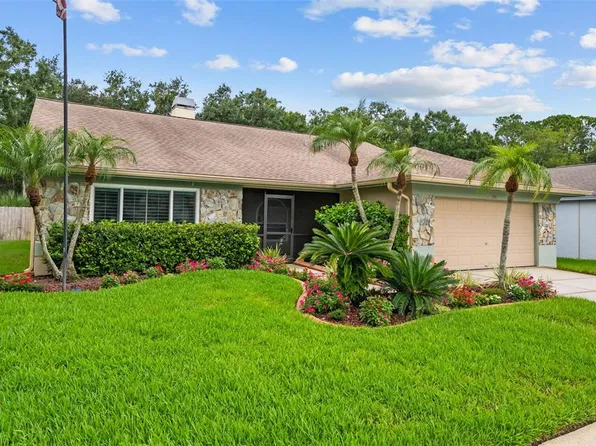 11910 STEPPINGSTONE BLVD BOULEVARD, TAMPA, FL 33635