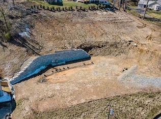 12 Crabapple Ln, Asheville, NC 28804