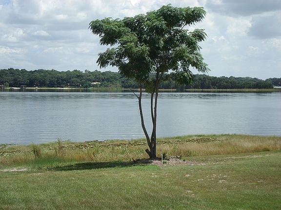 4th image of 2555 Morningside Dr