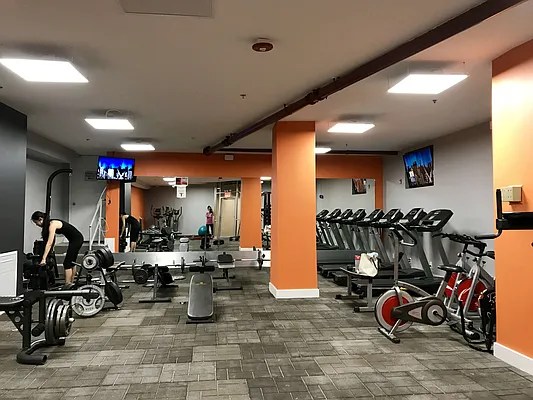 Rented by Pearl Realty Management LLC | media 36