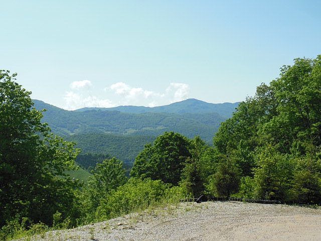 1st image of 963 Whitetail Dr