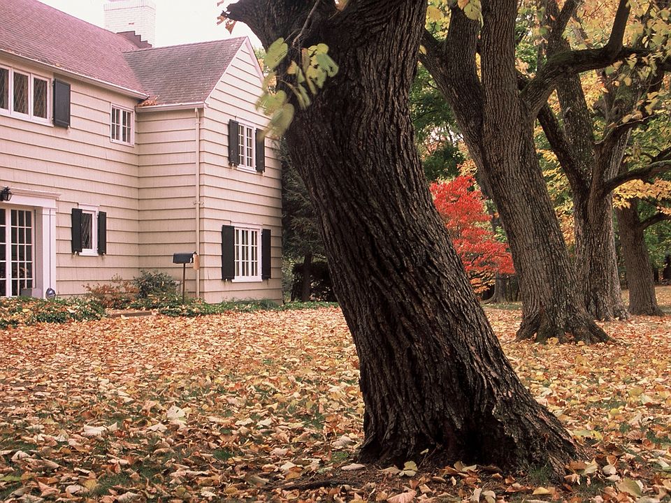 1665 Woodland Ave, Edison, NJ 08820 Zillow