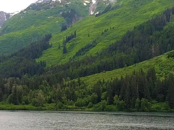 Nhn L5 B6 Chilkat Lake, Haines, AK 99827