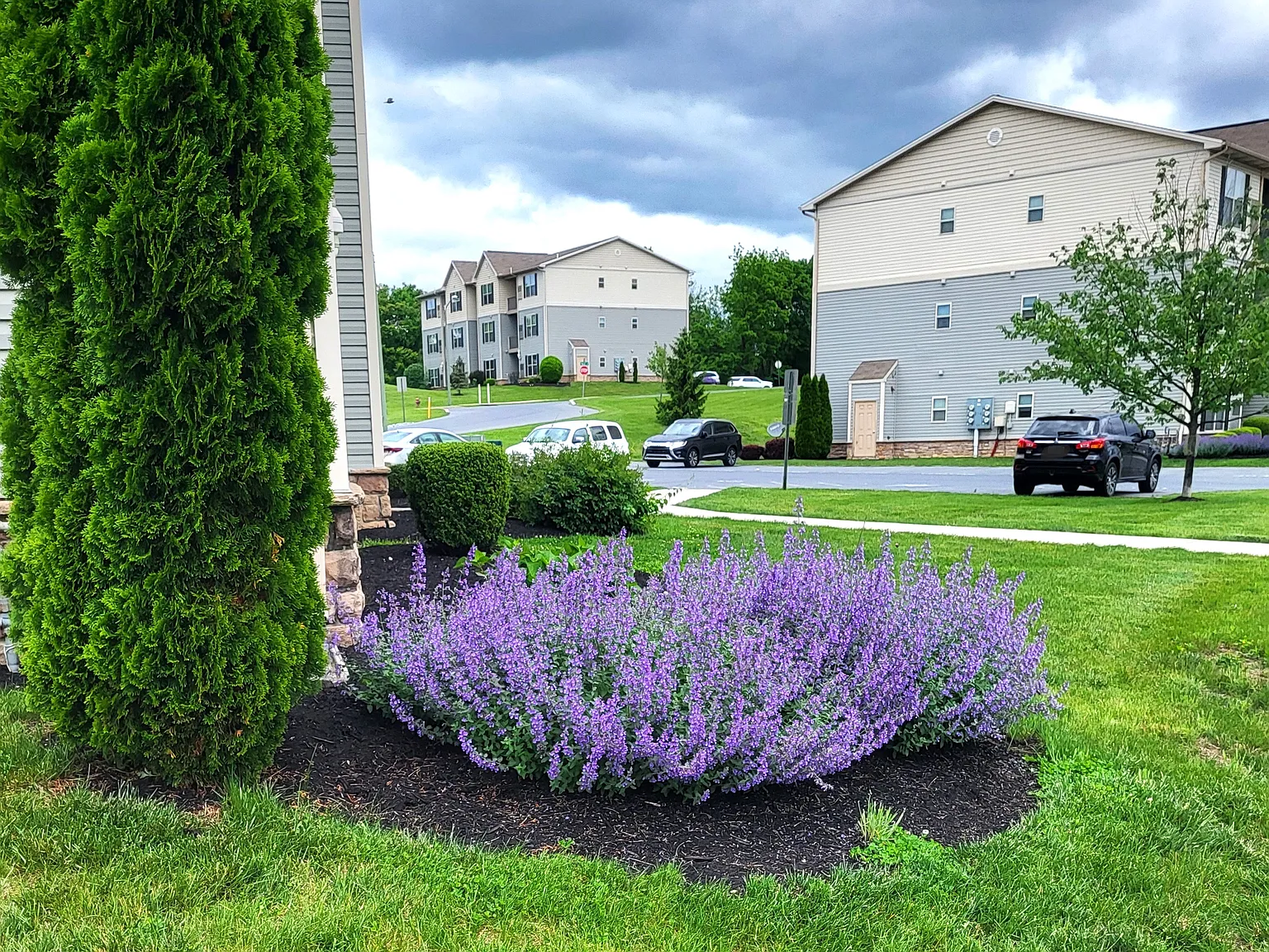Ivy Ridge Apartments & Townhomes — Photo 3