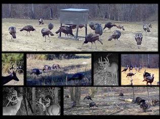 3114 County Road 212, Water Valley, MS 38965