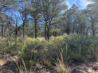 29 Forest Loop, Timberon, NM 88350