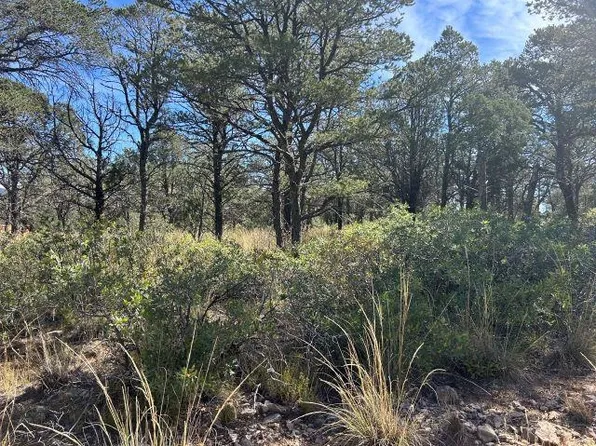 Pawnee Dr, Timberon, NM 88350