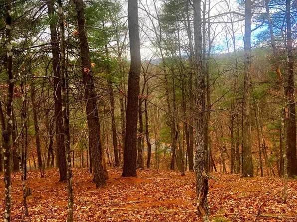 King St, Basye, VA 22810