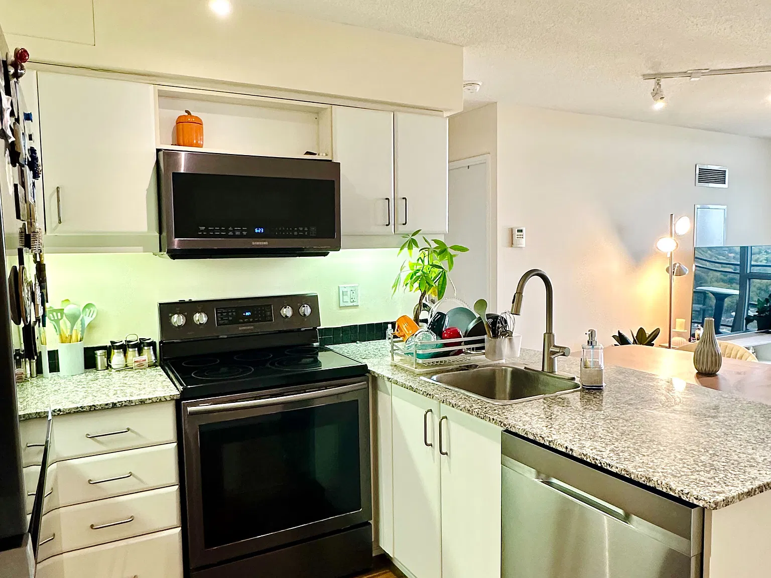 1 bed, $2,300 — Photo 4