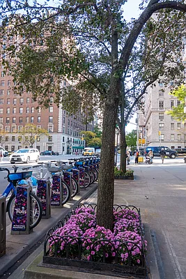 Sold by Douglas Elliman | media 18