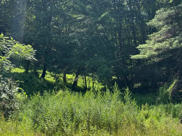 Green Creek Rd, Benton, PA 17814