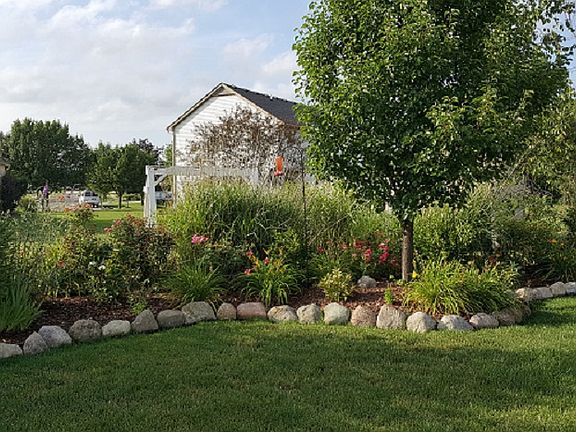 Back landscaping