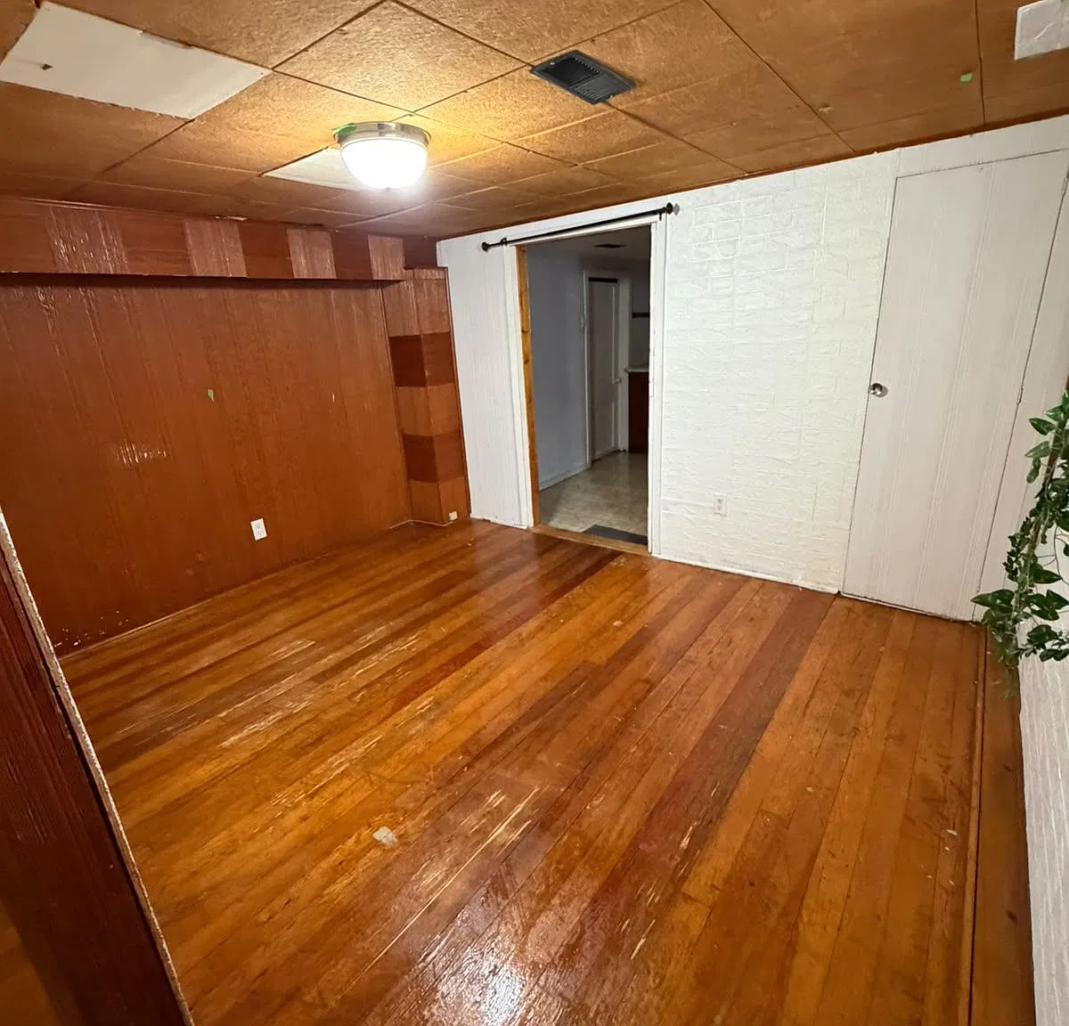 1 bed, $1,500 — Photo 3