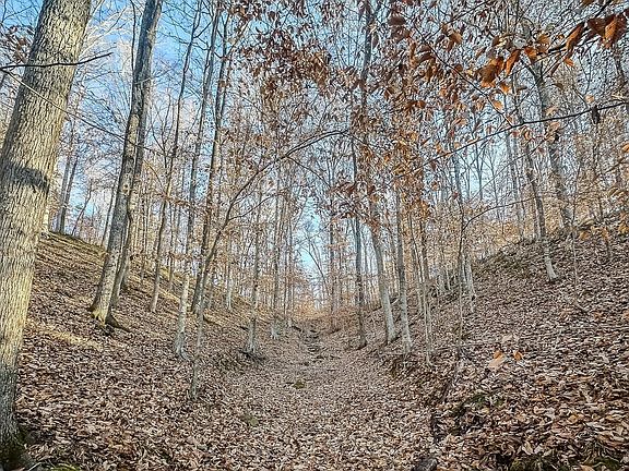 Compass South Land Sales Tennessee Mayberry Prong 04