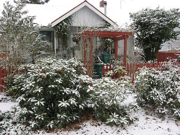 Front View Winter