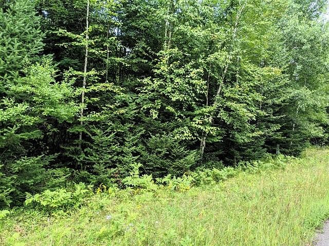 2nd image of Maple Ln