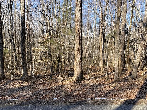 2nd image of Plantersville Rd