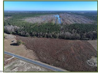 LOT 1 Wire Grass Rd, Orrum, NC 28369
