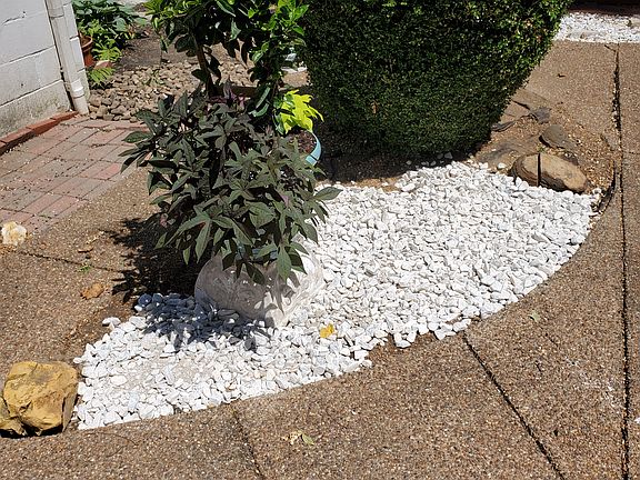 Patio with Mature Boxwoods and Hammock area