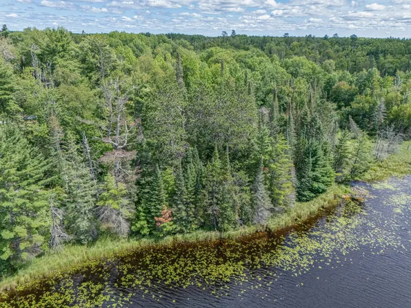 E Elizabeth Lake Trl, Bovey, MN 55709