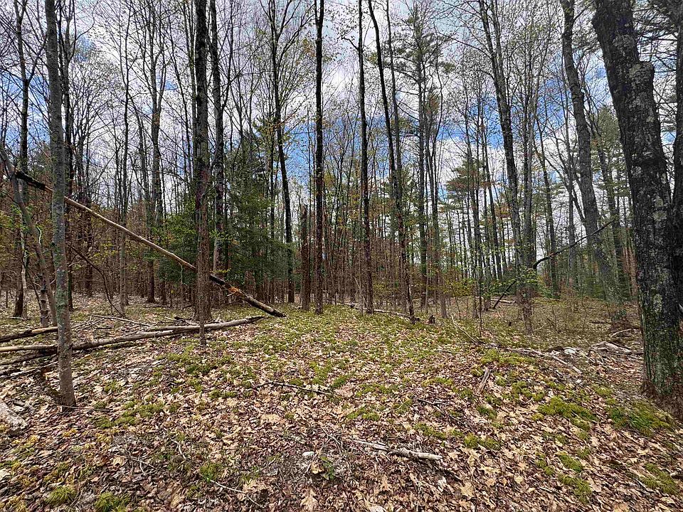 2nd image of 00 Esty Road