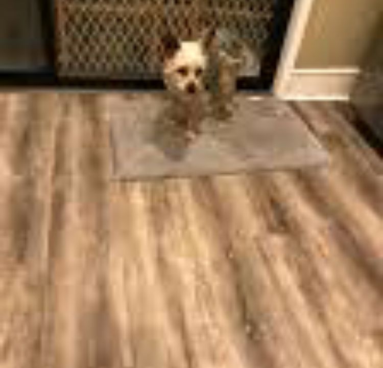 Hardy plank floors installed