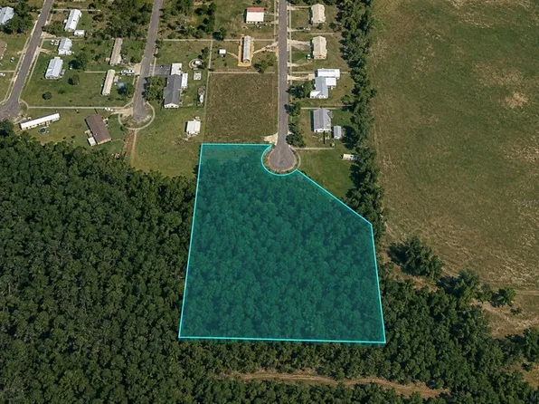 Unassigned BUCKHEAD DRIVE, GRAND RIDGE, FL 32442