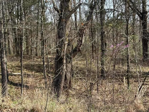 0 Nolan Rd, Olive Branch, MS 38654