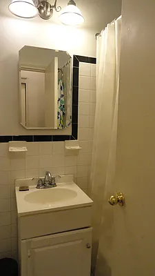 Rented by Manhattan Flats | media 12