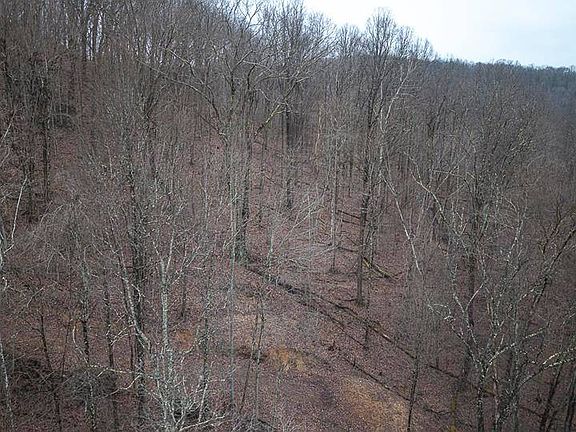 3rd image of 2998 Owl Creek Rd