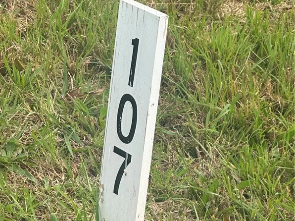 Lot 107 Parson Lane, North Wilkesboro, NC 28659