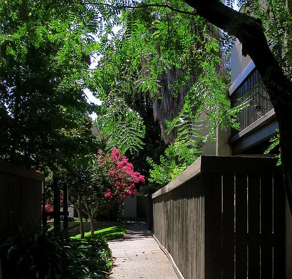 Ardendale Apartments — Photo 9