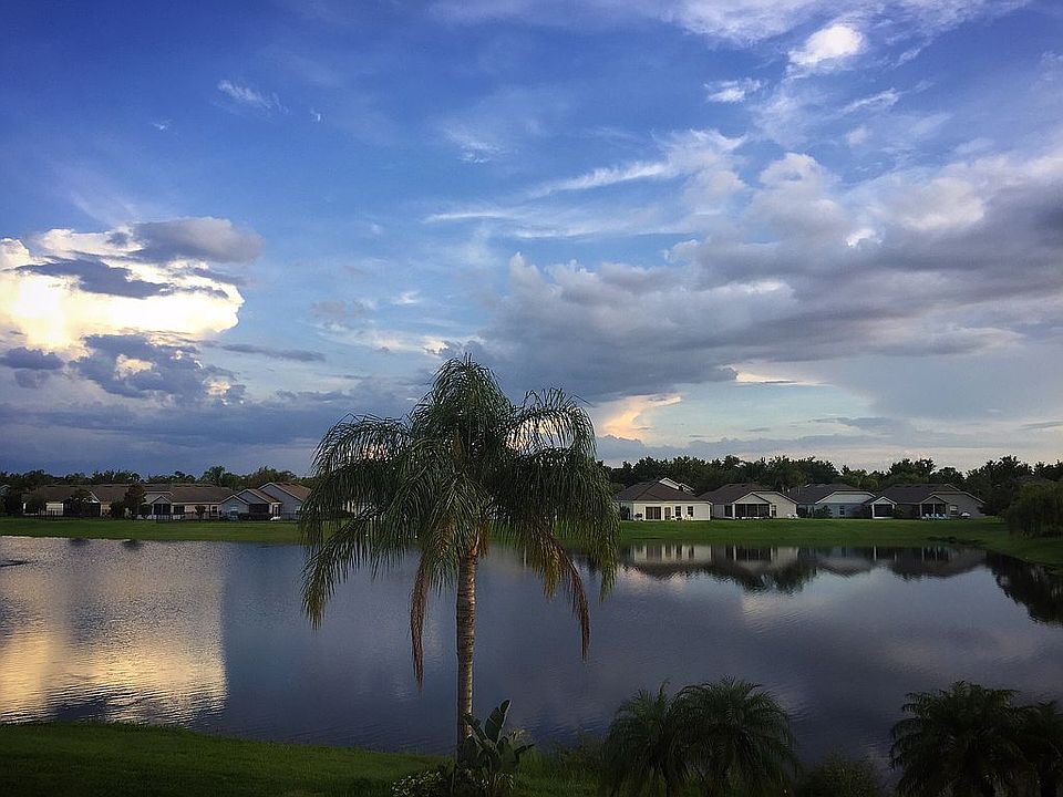 Backyard view