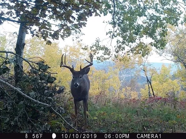XX Simons Road, Alma, WI 54610