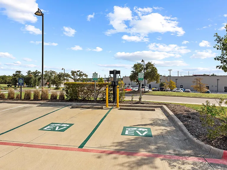 Palo Verde — Photo 38