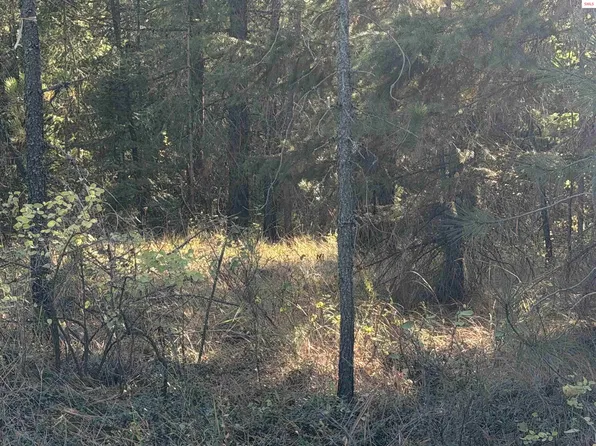 Nna Gray Eagle, Rathdrum, ID 83858