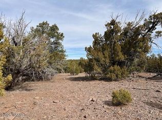 45 County Rd, Concho, AZ 85924