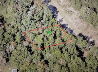 11268 N Terra Cotta Dr, Citrus Springs, FL 34434
