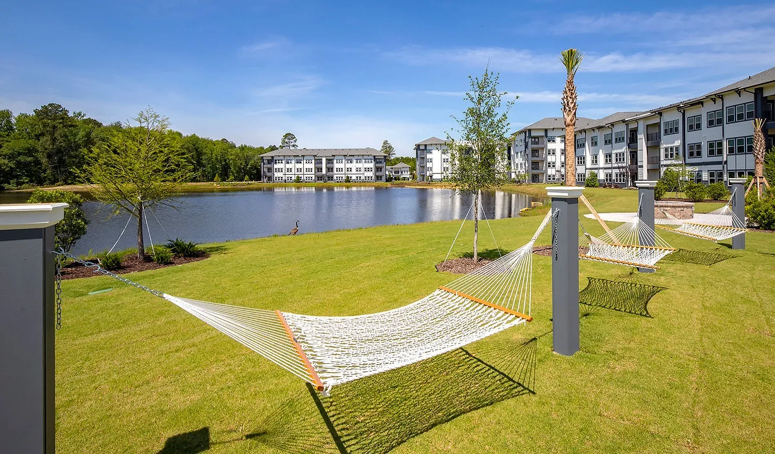 The Crossings at Pooler — Photo 3