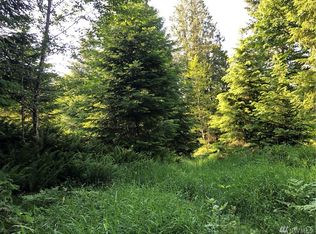 118 Deer Park Ln, Packwood, WA 98361