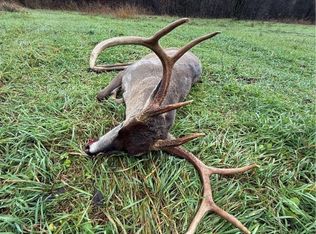 143 Horton Rd, Rocky Comfort, MO 64861