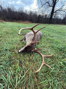 143 Horton Rd, Rocky Comfort, MO, 64861