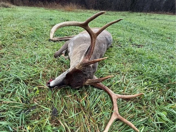 143 Horton Rd, Rocky Comfort, MO 64861