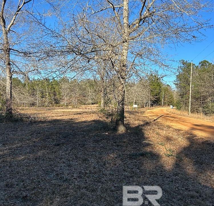 1st image of 0 Buddy Lake Rd