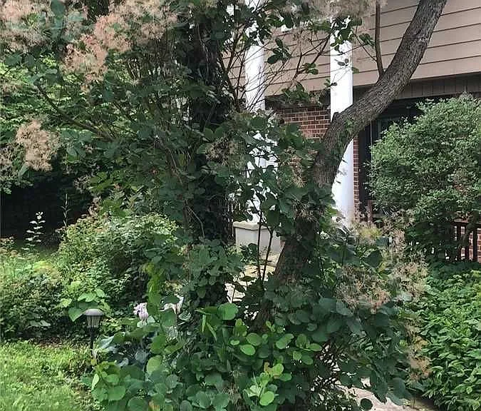 1 Park Brook Pl — Photo 36
