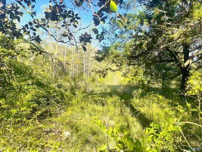 2.94 County Road 317, Moulton, AL, 35650