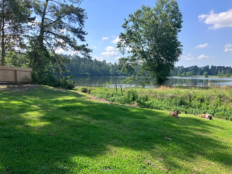 164 Golden Meadow Dr — Photo 69