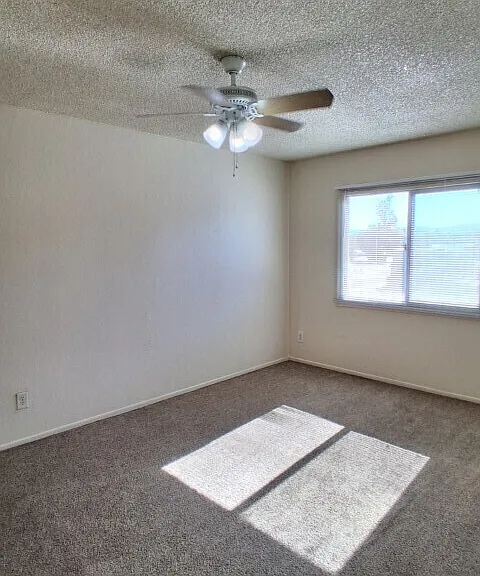 5305 W Lynwood St — Photo 24