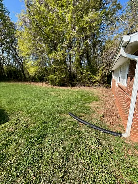 3 bed, 1000 sqft, $1,500 — Photo 2