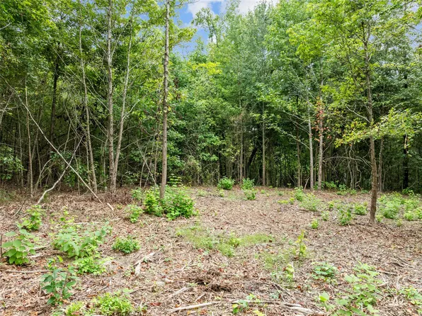 0 Mistletoe Rd, Gilmer, TX 75644